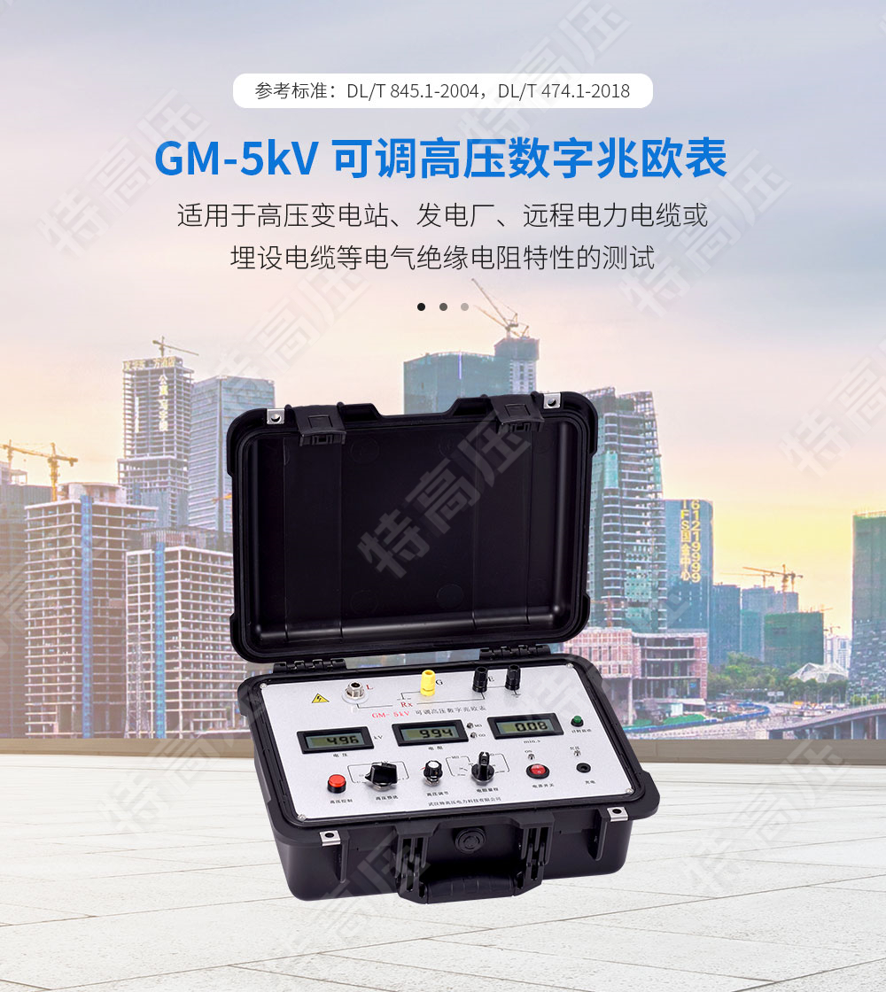 GM-5kV 可調(diào)高壓數(shù)字兆歐表(圖1)