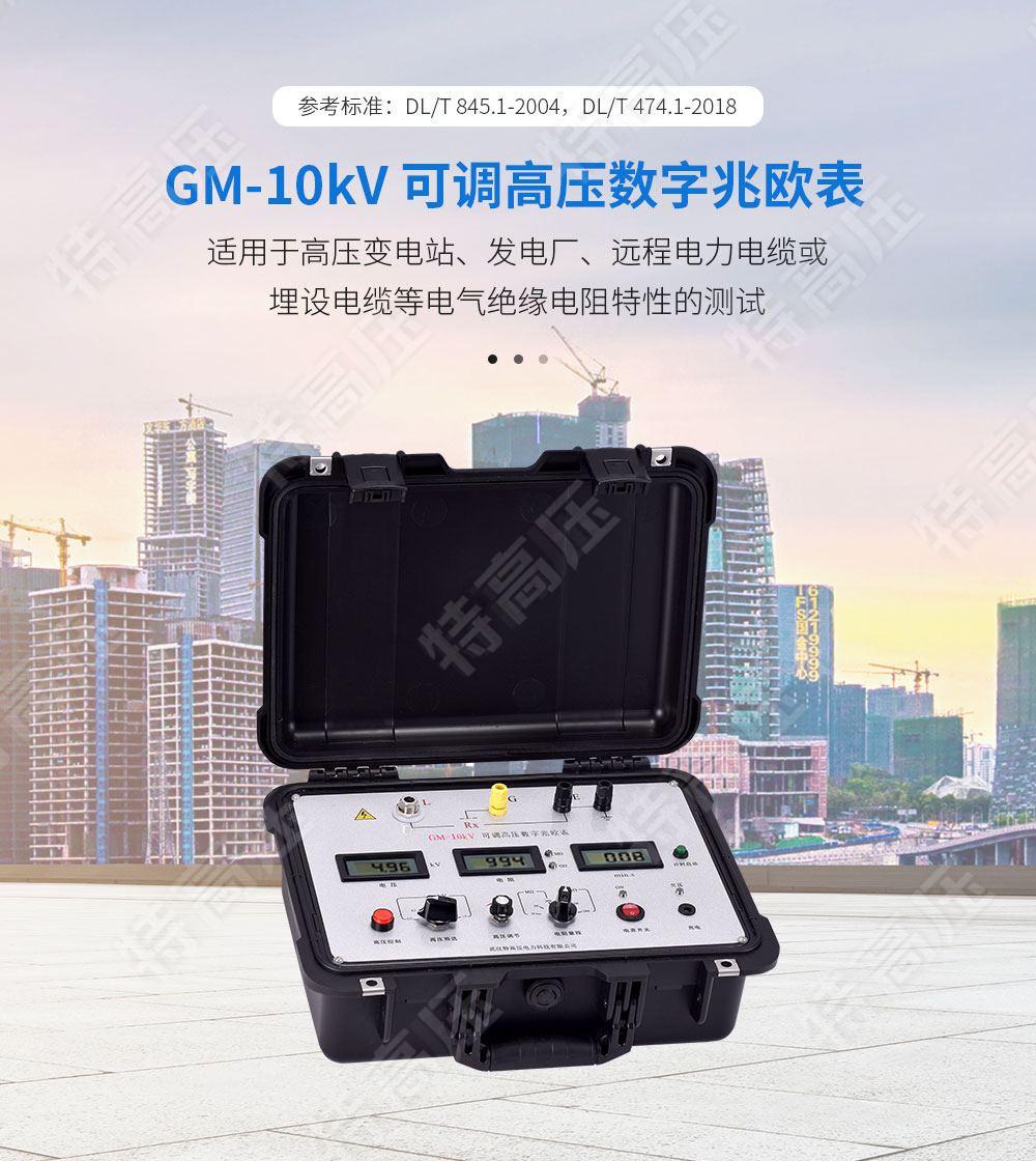 GM-10kV 可調高壓數(shù)字兆歐表(圖1)